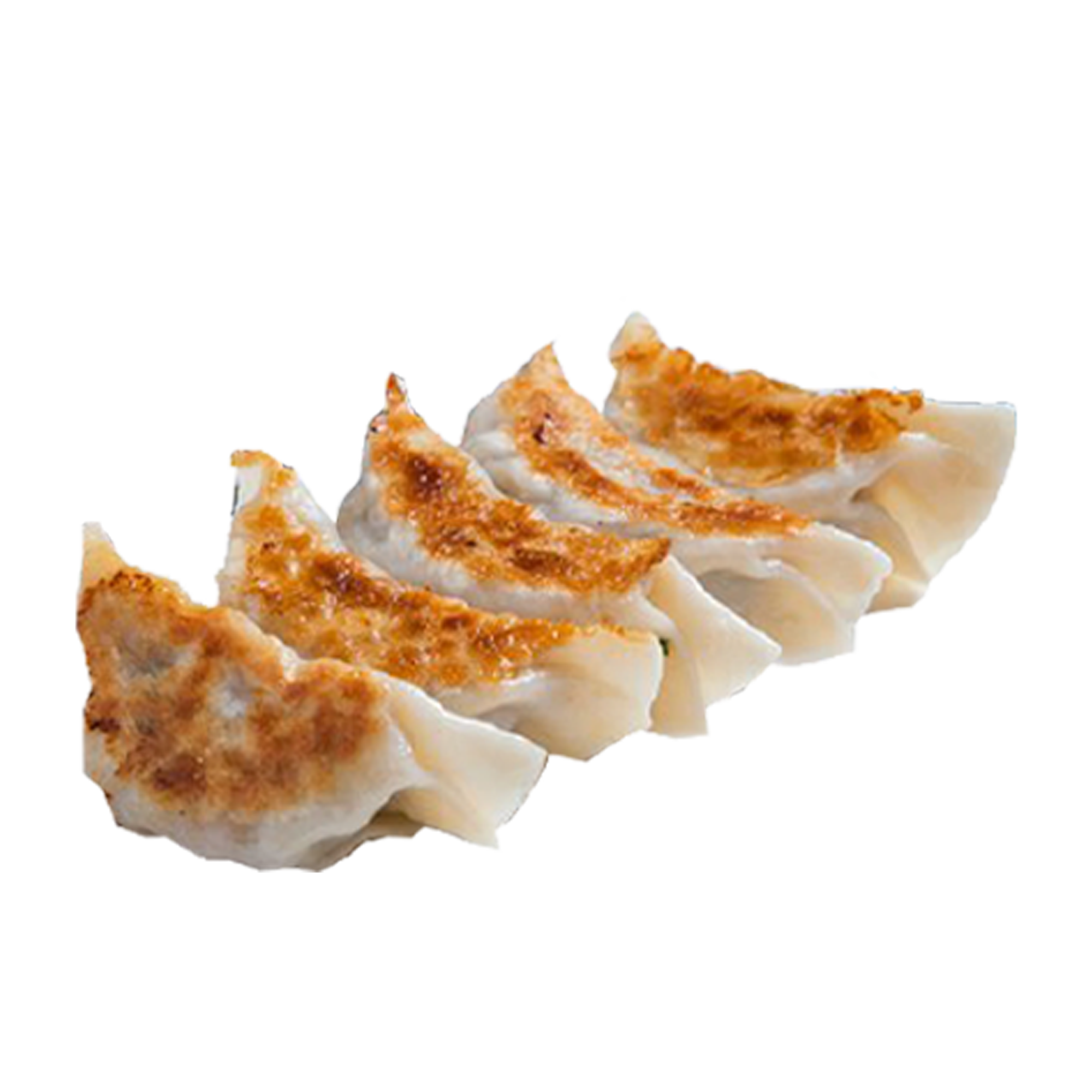 Gyoza chicken ( 5 stuks )